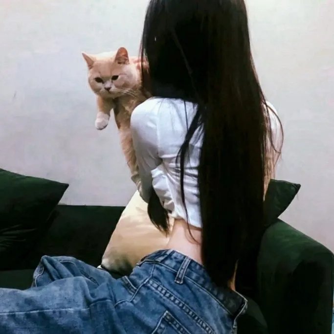 你的眼睛在追问