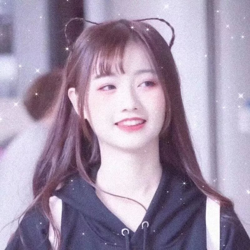 彩虹2025
