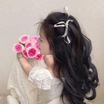 艾薇和豆豆：幽灵退散